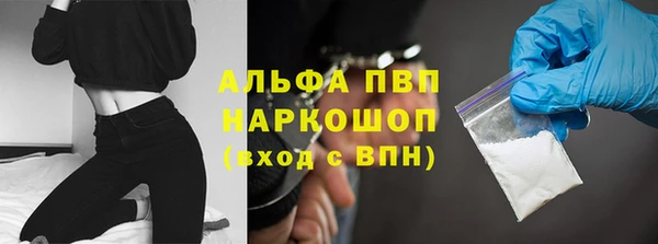 тгк Магас